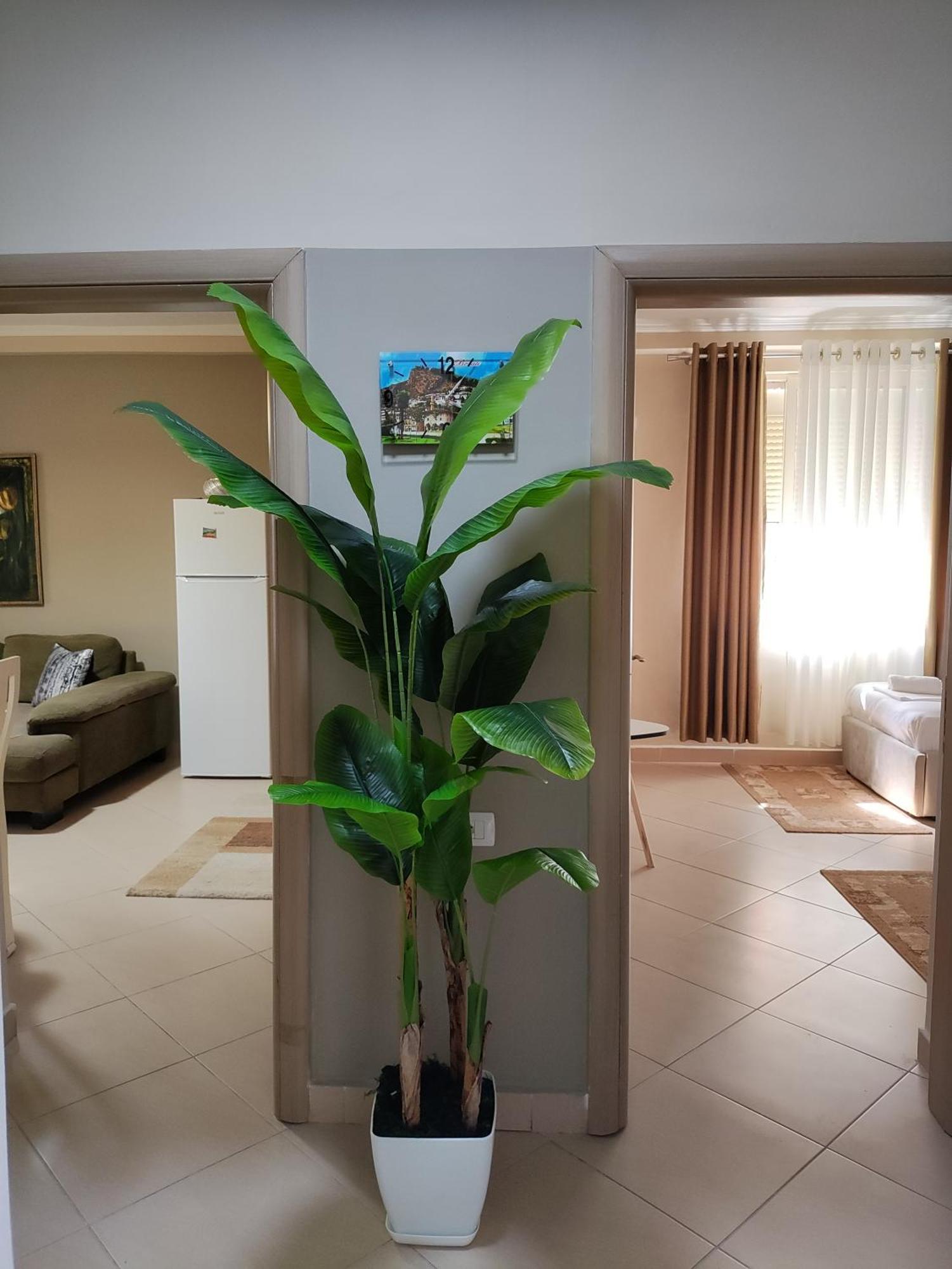 Guest House Shyti بيرات المظهر الخارجي الصورة
